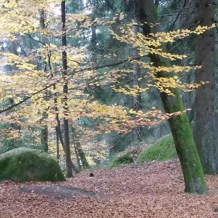 In Vordorfermuehle Mit Garten *